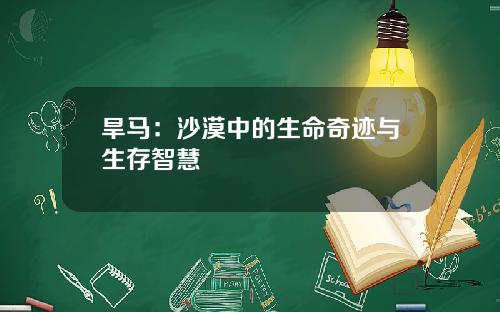 旱马：沙漠中的生命奇迹与生存智慧